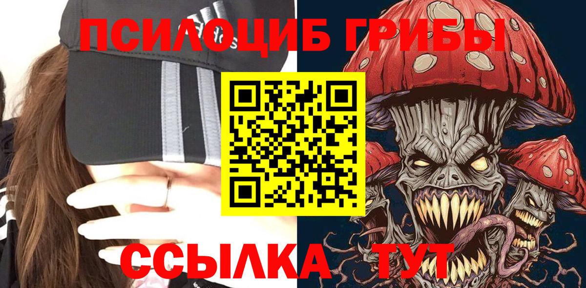 Галлюциногенные грибы прущие грибы Заволжье