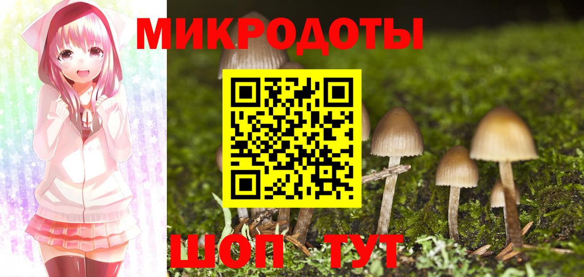 Заволжье  Галлюциногенные грибы Psilocybe  Вход с VPN 